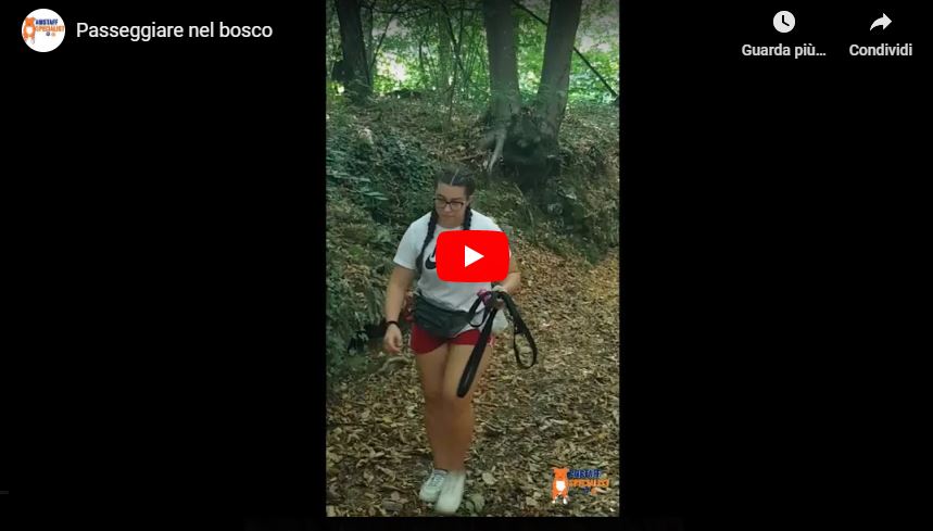 Passeggiare-nel-bosco